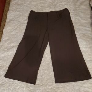 Metallic Stripe & Brown Wide-Leg Capri Pants sz 5 Dress Business Casual